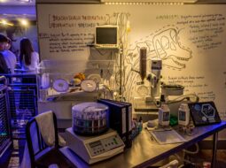 Ha Hatley - Genetic Research