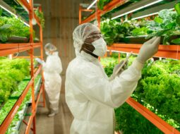 Farming in Global Food Security